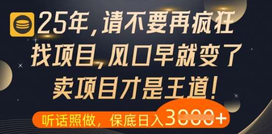 什么？25年你还在疯狂找项目做，醒醒吧，看完这些你全都懂了【揭秘】-千寻创业网