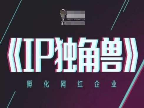 IP独角兽，孵化网红企业，ip教程-千寻创业网