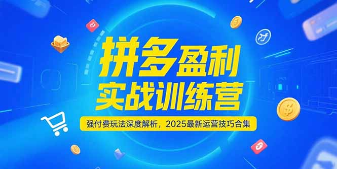 （15183期）拼多多盈利实战训练营，强付费玩法深度解析，2025运营技巧合集-更新6月-千寻创业网