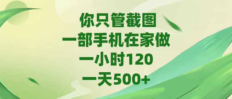 （15039期）你只管截图，一部手机在家做，一小时120，-天500+-千寻创业网