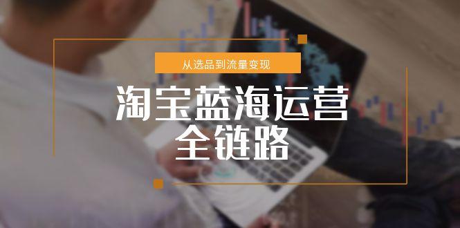 （15160期）淘宝蓝海运营全链路，从选品到流量变现，小类目突围完整方案-千寻创业网