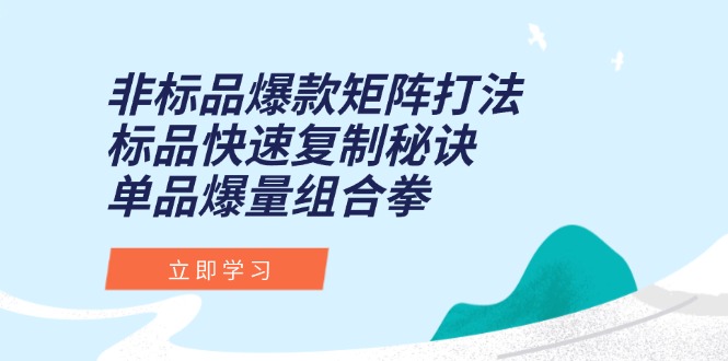 （15068期）非标品爆款矩阵打法，标品快速复制秘诀，单品爆量组合拳-千寻创业网