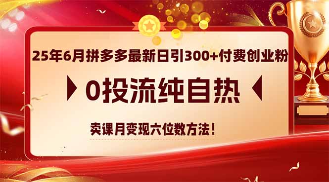 （14989期）25年6月拼多多最新日引300+付费创业粉，0投流纯自热 卖课月变现六位数方法-千寻创业网