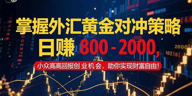 （15198期）掌握外汇黄金对冲策略，日赚 800 – 2000，小众高回报创业机会，助你实…-千寻创业网