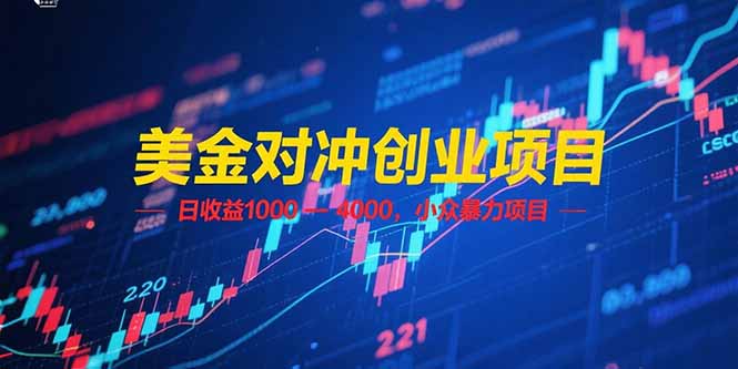 （15187期）美金对冲创业项目，日收益 1000 – 4000，小众暴力项目-千寻创业网