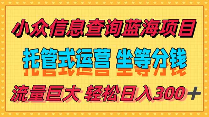 （15216期）稳定日入300＋，小众信息查询蓝海项目，全程懒人式托管，解放你的时间-千寻创业网