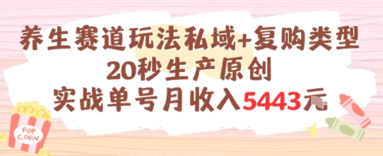 养生赛道玩法私域+复购类型，20秒生产原创实战单号月收入5k+-千寻创业网
