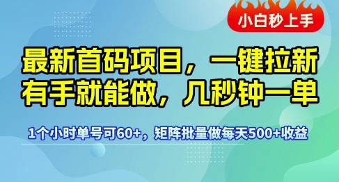 最新首码项目，一键拉新有手就能做，几秒钟一单，1个小时单号可60+，矩阵批量做每天5张【揭秘】-千寻创业网