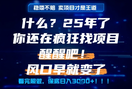 什么？25年你还在疯狂找项目做，醒醒吧，看完这些你全都懂了！【揭秘】-千寻创业网