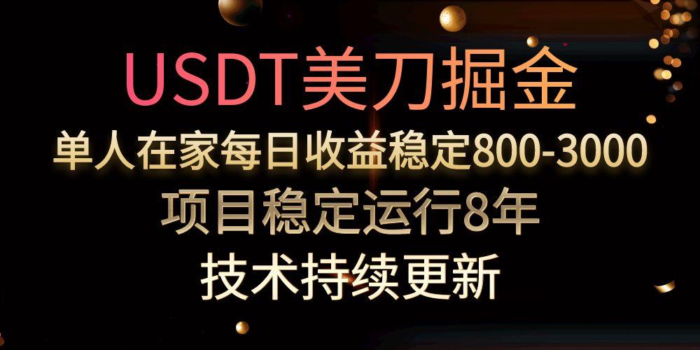 （15527期）USDT美刀掘金，单人每日收益800-3000，稳定运行8年-千寻创业网