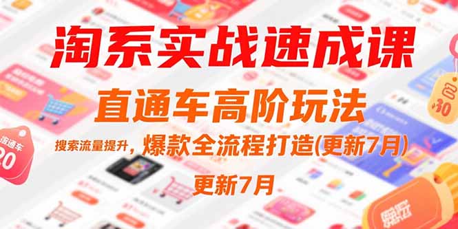 （15374期）淘系实战速成课，直通车高阶玩法，搜索流量提升，爆款全流程打造(更新7月)-千寻创业网