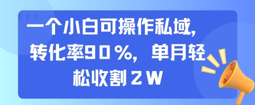 一个小白可操作私域，转化率90%，单月轻松收割2W-千寻创业网