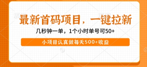 最新首码项目，操作最简单，收益高，一键拉新，1个小时单号可50+，小项目认真做每天5张+收益【揭秘】-千寻创业网