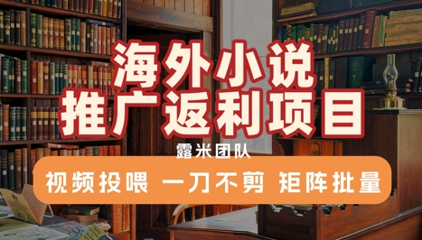 海外小说推广返利项目，视频投喂， 一刀不剪，矩阵批量-千寻创业网