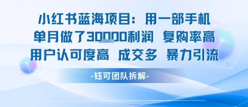 小红书蓝海项目，一部手机单月做了3W利润，小白也能月入过1W用户认可度高成交多-千寻创业网