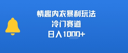 情趣内衣暴利玩法，冷门赛道，日入1k+-千寻创业网