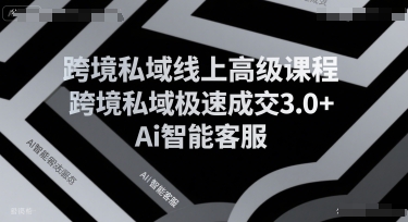 跨境私域线上高级课程，跨境私域极速成交3.0+Ai智能客服-千寻创业网