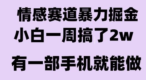 情感暴力掘金项目，新人操作一周挣了2W，长期稳定小白可做【揭秘】-千寻创业网