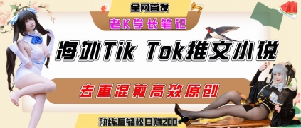 海外tiktok小说推文暴力项目，高停留率，高转化率，上手后一天搞顿饭钱不是问题-千寻创业网