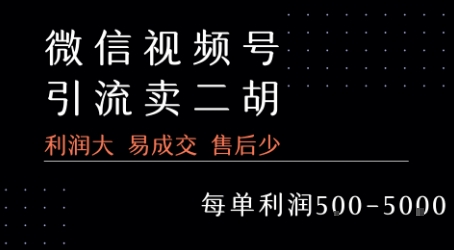 视频号卖二胡教程，利润大 易成交 售后少，一单利润5张+-千寻创业网
