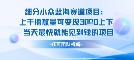 小众蓝海赛道项目：当天变现1k+适合新手操作 +适合长期玩-千寻创业网
