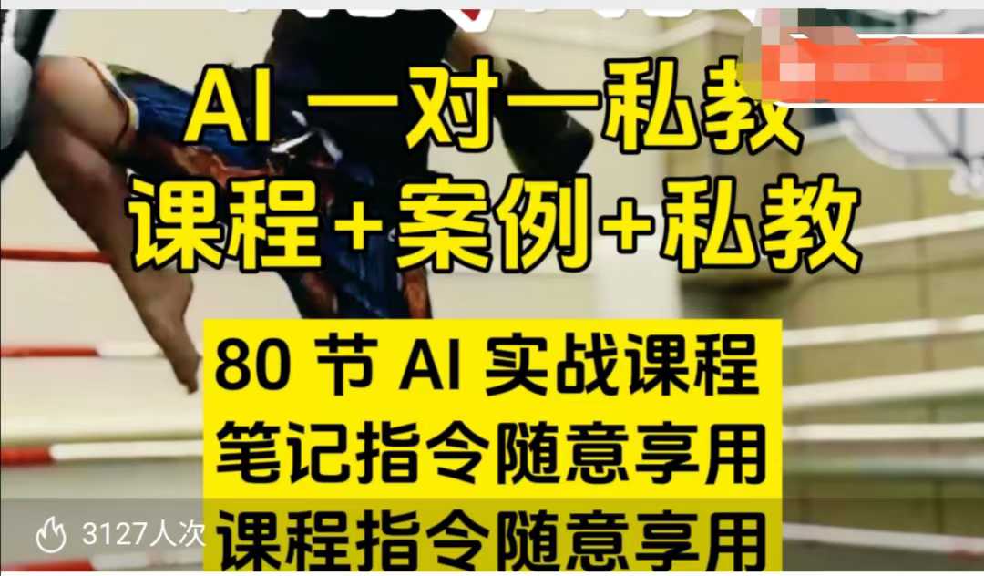 AI指令实战课，课程+案例，80节AI实战课程，笔记指令随意享用，课程指令随意享用（更新7月）-千寻创业网