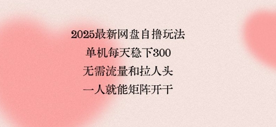 2025最新网盘自撸玩法，单机每天稳下3张，无需流量和拉人头，一个人就可轻松矩阵，全网独一份【揭秘】-千寻创业网