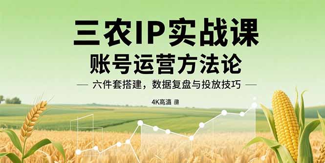 （15864期）三农IP实战课：账号运营方法论，六件套搭建，数据复盘与投放技巧-千寻创业网