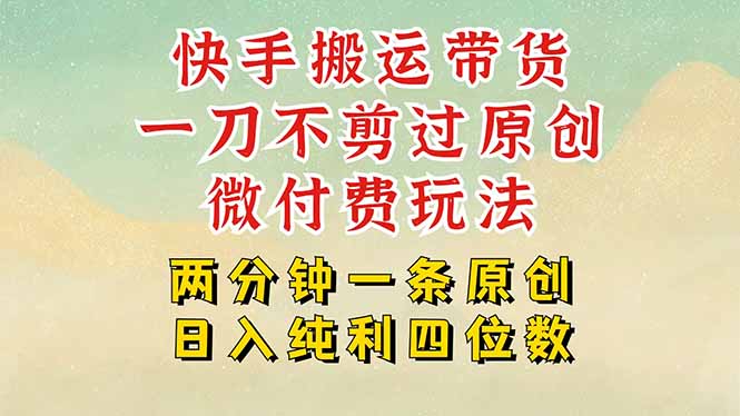 （15577期）快手黑科技搬运带货，一刀不剪过原创，微付费投流玩法，轻松日入四位数…-千寻创业网