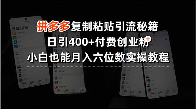 （15613期）拼多多复制粘贴引流秘籍，日引400+付费创业粉，小白也能月入六位数实操…-千寻创业网