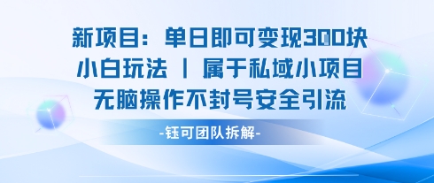 新项目单日即可变现3张的小白玩法无脑操作不封号安全引流-千寻创业网