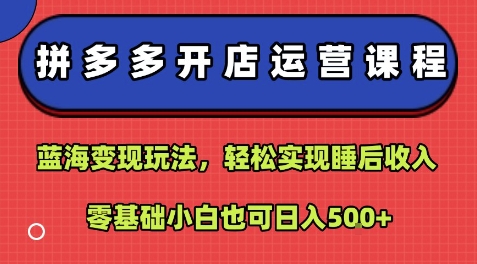 拼多多开店运营课程：蓝海变现玩法，轻松实现睡后收入，零基础小白也可日入5张-千寻创业网
