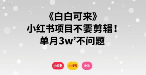 小白可来 小红书项目不需要剪辑 单月3w不是问题-千寻创业网