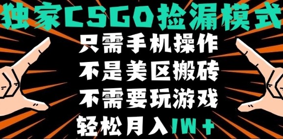 CSGO自动捡漏项目，最新独家玩法，不是美区搬砖，不需要了解和玩游戏，新手小白轻松月入1W+【揭秘】-千寻创业网