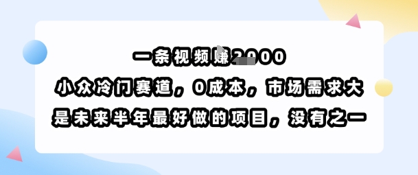 一条视频挣1k，小众冷门赛道，0成本，市场需求大，是未来半年最好做的项目，没有之一-千寻创业网