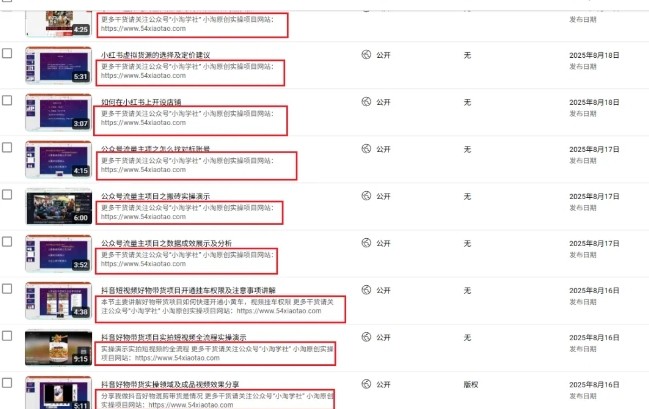 图片[2]-2025油管引流术，分享我是如何通过油管做引流的-千寻创业网