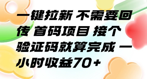 一键拉新 不需要回传 首码项目 接个验证码就算完成 一小时收益70+【揭秘】-千寻创业网