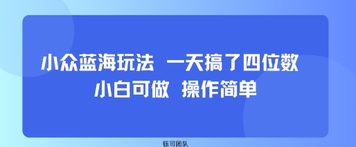 小众蓝海玩法 一天搞了四位数 小白可做 操作简单-千寻创业网