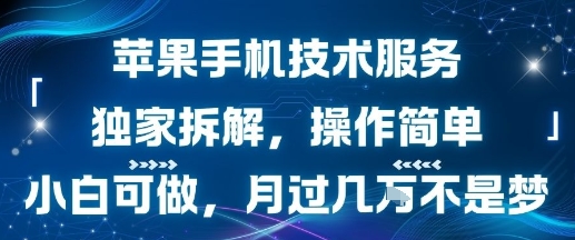 苹果手机技术服务，独家拆解，操作简单，小白可做，月过1W不是梦-千寻创业网