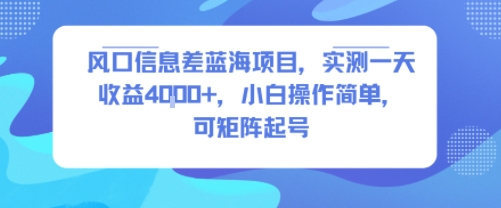 风口信息差蓝海项目，实测一天收益4k+，小白操作简单，可矩阵起号-千寻创业网