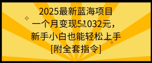 2025最新蓝海项目一个月变现1w+新手小白也能轻松上手【附全套指令】-千寻创业网