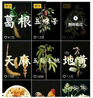 图片[2]-抖音中草药赛道，用AI做中草药故事视频，45条作品涨粉13W，橱窗带货猛猛出单-千寻创业网