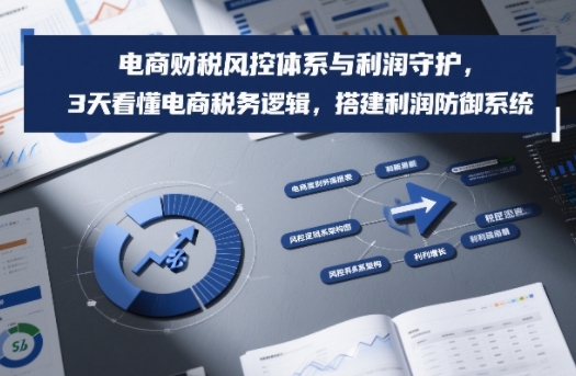 电商财税风控体系与利润守护，3天看懂电商税务逻辑，搭建利润防御系统-千寻创业网