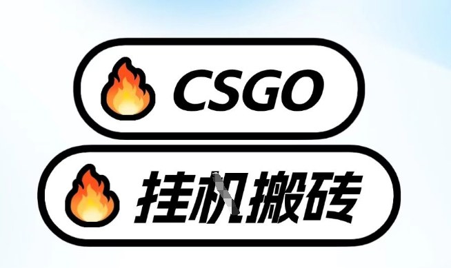 真全网独家CSGO挂G，最新玩法,单日捡漏1K+，不用电脑，不用打游戏【揭秘】-千寻创业网