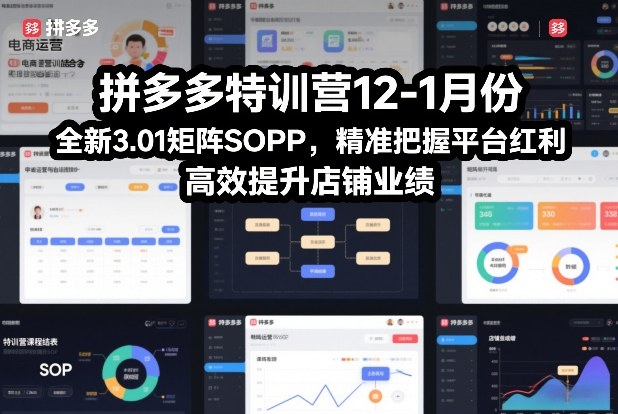 拼多多特训营12-1月份，全新3.01矩阵Sop，精准把握平台红利，高效提升店铺业绩-千寻创业网