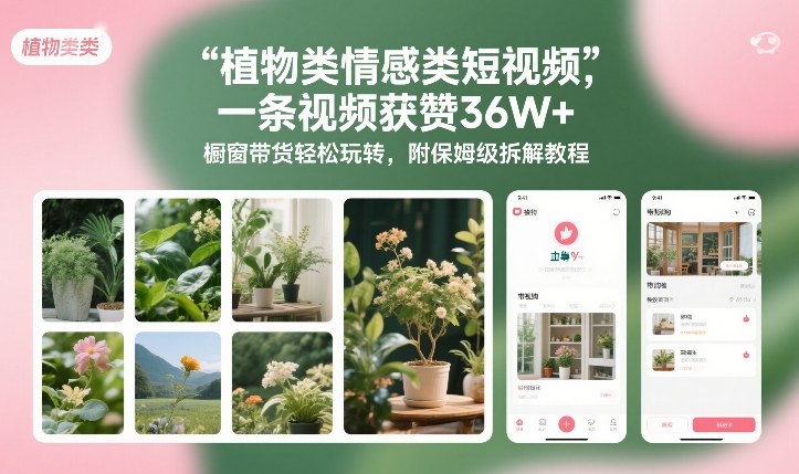 植物类情感类短视频，一条视频获赞36W+，橱窗带货轻松玩转，附保姆级拆解教程-千寻创业网