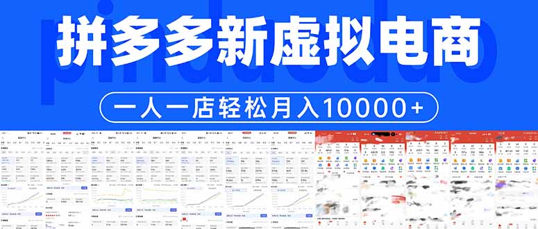 （17978期）拼多多虚拟电商一人一店轻松月入10000+-千寻创业网