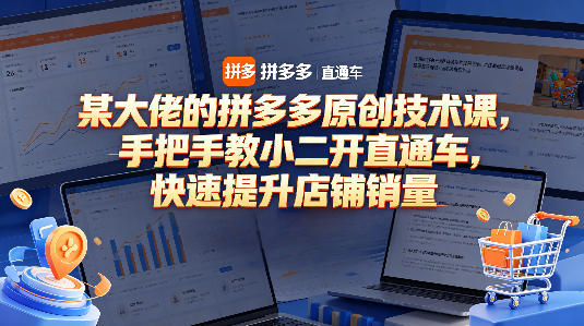 某大佬的拼多多原创技术课，手把手教小二开直通车，快速提升店铺销量-千寻创业网