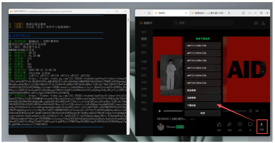 图片[4]-Github热门工具，视频号下载神器又来了！一键注入下载按钮，轻松下载，使用便捷wx_channel-千寻创业网
