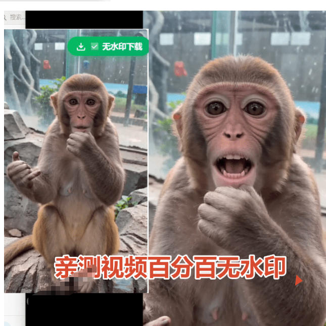 图片[2]-豆包无水印下载终于来了！支持豆包图片/视频，目前唯一免费使用的插件，浏览器拓展-千寻创业网